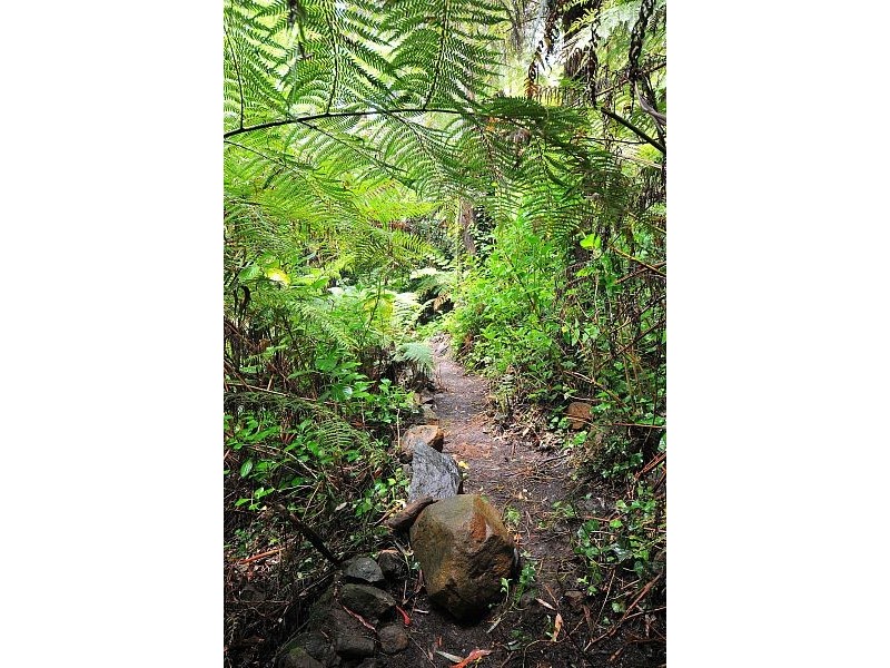 13 St. James Avenue, Kallista VIC 3791