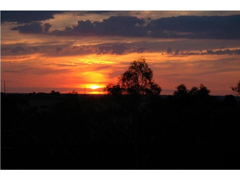 50 Ferndale Road, Upper Ferntree Gully VIC 3156