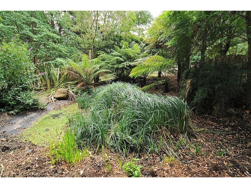 47 Range Road, Olinda VIC 3788