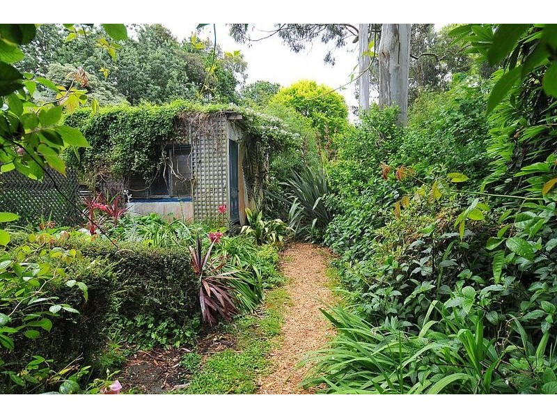 81 Sandells Road, Tecoma VIC 3160