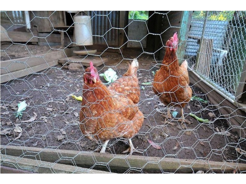 23 Upper Coonara Road, Olinda VIC 3788