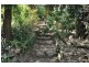 35 Terry Avenue, Belgrave VIC 3160