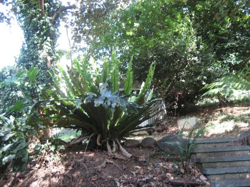 22 Gully Crescent, Belgrave VIC 3160