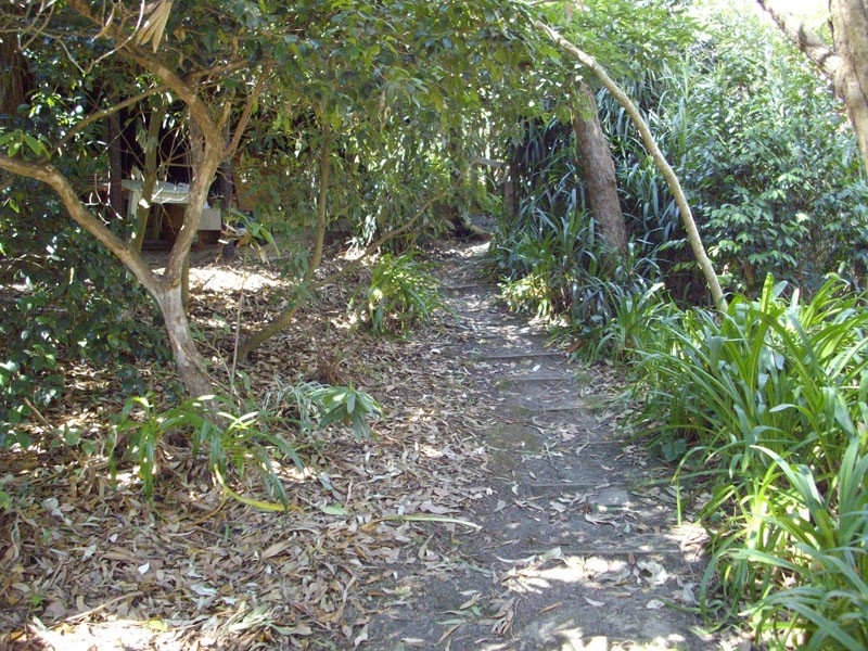 8 Gordon Avenue, Tecoma VIC 3160