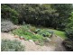 111 Monbulk Road, Kallista VIC 3791