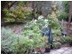 15 Leslie Street, Belgrave VIC 3160