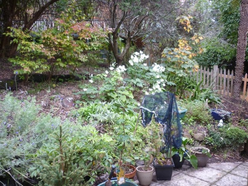15 Leslie Street, Belgrave VIC 3160