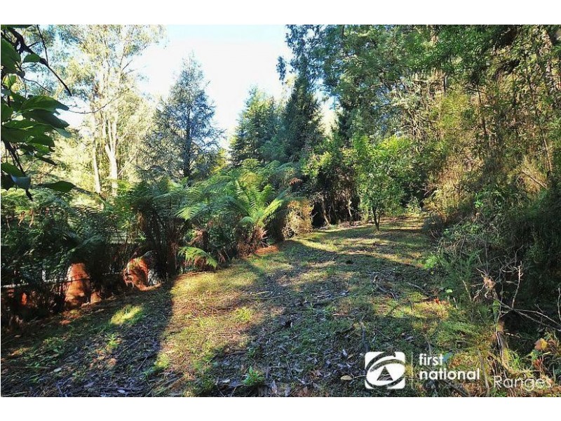 62 Sassafras Creek Road, Kallista VIC 3791