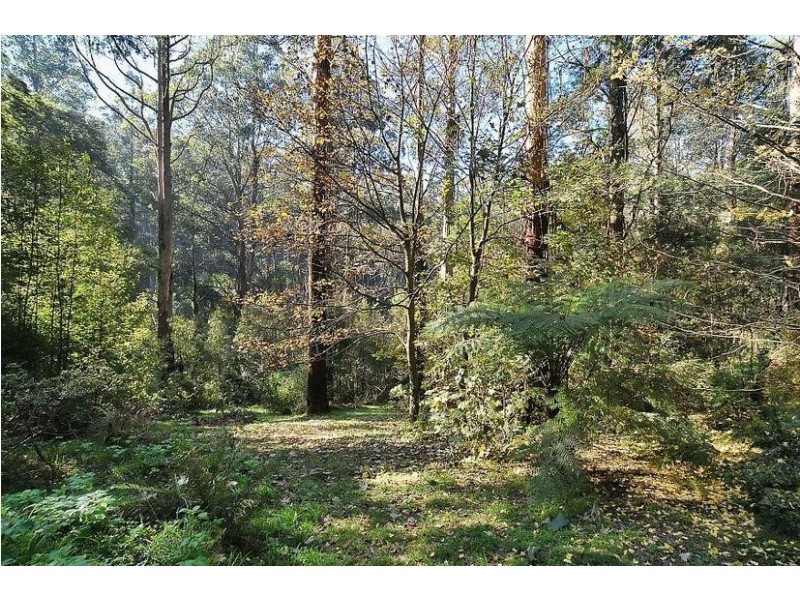 11 Colston Avenue, Sherbrooke VIC 3789