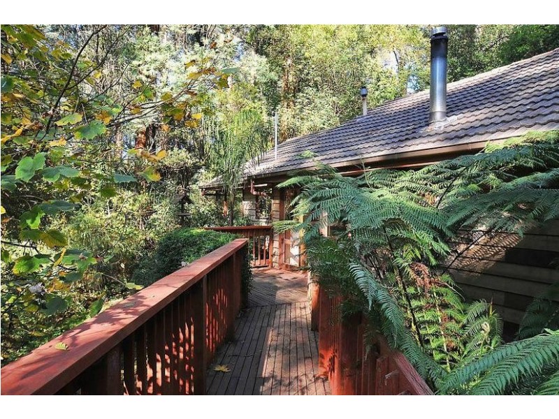 11 Colston Avenue, Sherbrooke VIC 3789