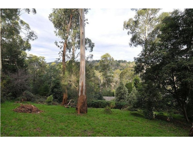 22 Martin Street, Belgrave VIC 3160