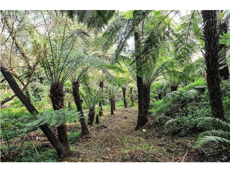 74 Station Street, Belgrave VIC 3160