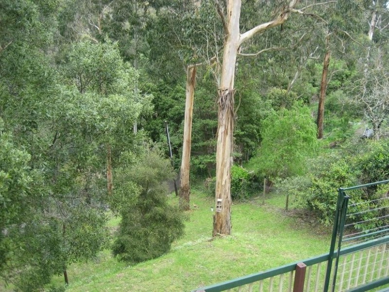 73 Belgrave Hallam Road, Belgrave VIC 3160