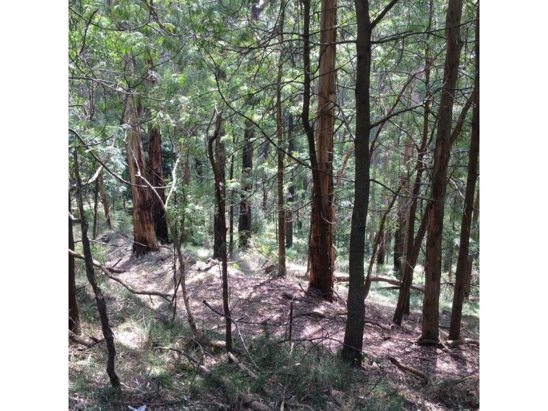 Lot 1, 185 Belgrave-Gembrook Road, Selby VIC 3159