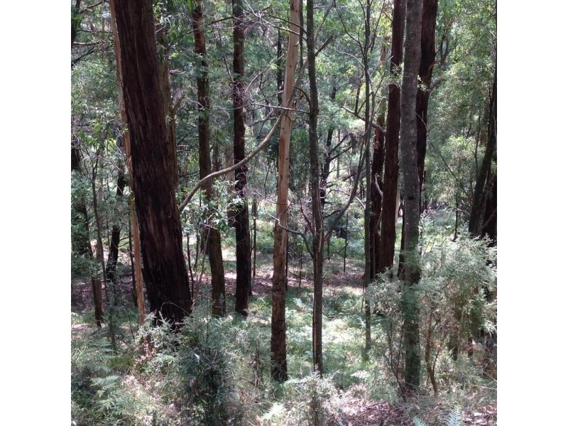 Lot 1, 185 Belgrave-Gembrook Road, Selby VIC 3159