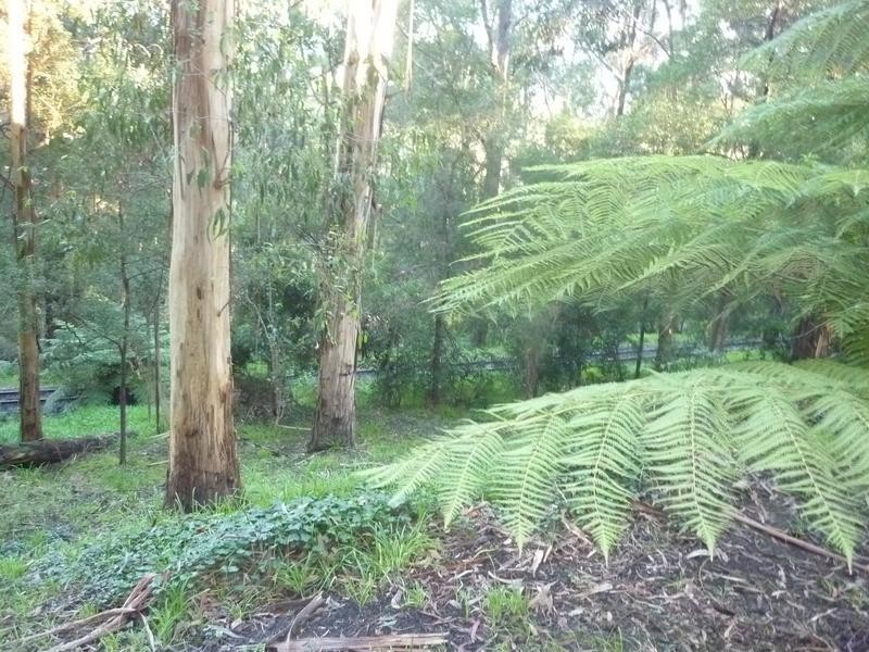 12A St Leonards Road, Selby VIC 3159