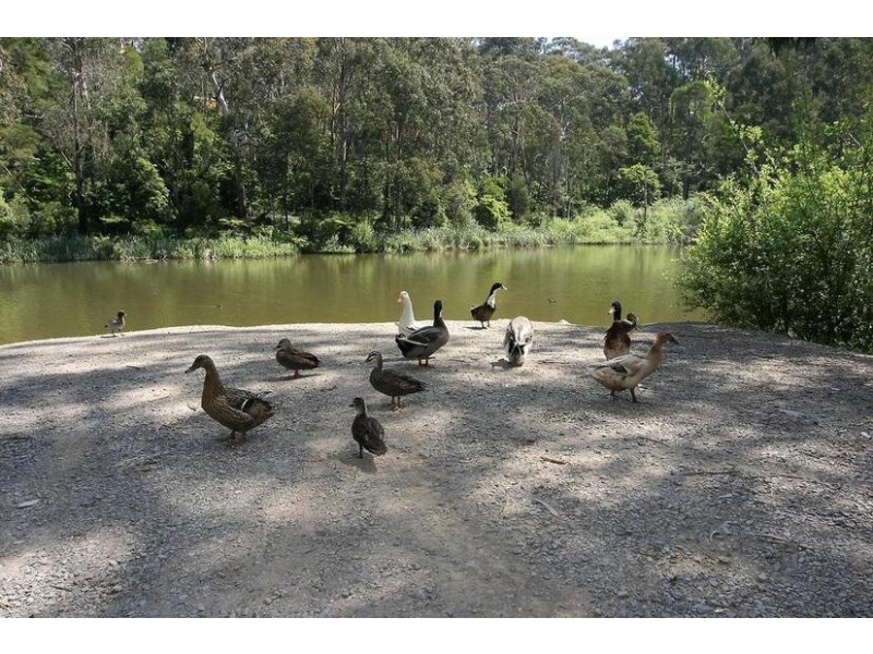 20 Park Drive, Belgrave VIC 3160