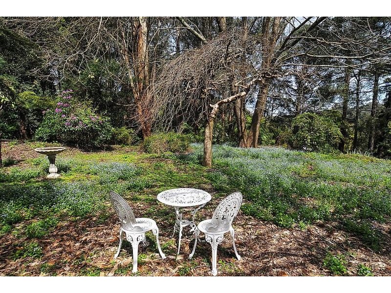 6 Mason Grove, Sassafras VIC 3787