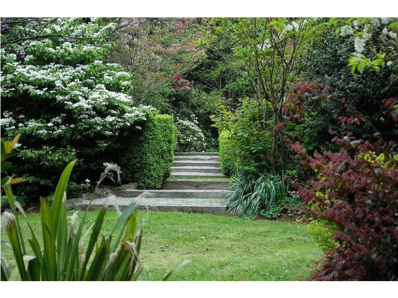 34 Olinda Crescent, Olinda VIC 3788