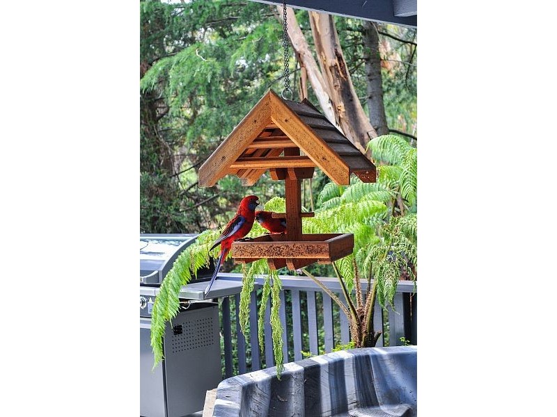 8 James Street, Selby VIC 3159