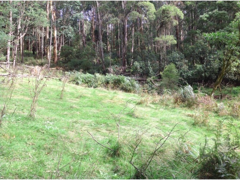 Lot 1, 185 Belgrave-Gembrook Road, Selby VIC 3159