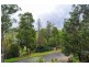 29 Kaola Street, Belgrave VIC 3160