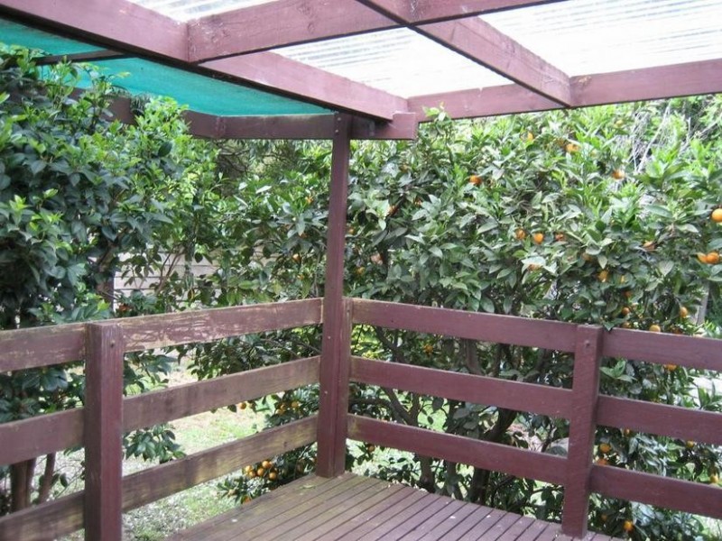 4/1528 BURWOOD HWY, Tecoma VIC 3160