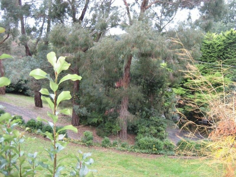 102 Kallista Emerald Road, The Patch VIC 3792
