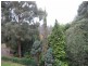 102 Kallista Emerald Road, The Patch VIC 3792