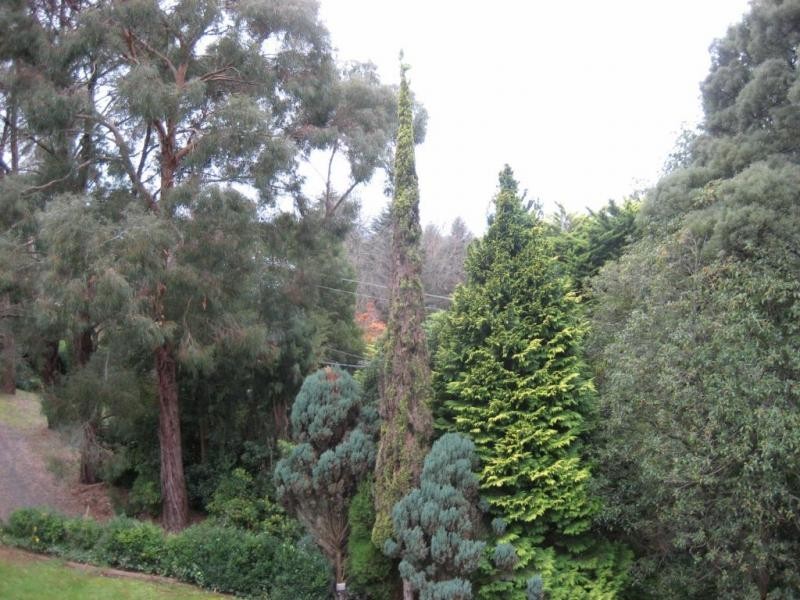 102 Kallista Emerald Road, The Patch VIC 3792