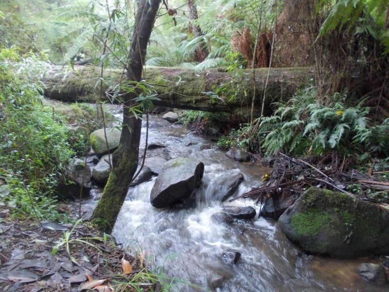 198 Monbulk Road, The Patch VIC 3792