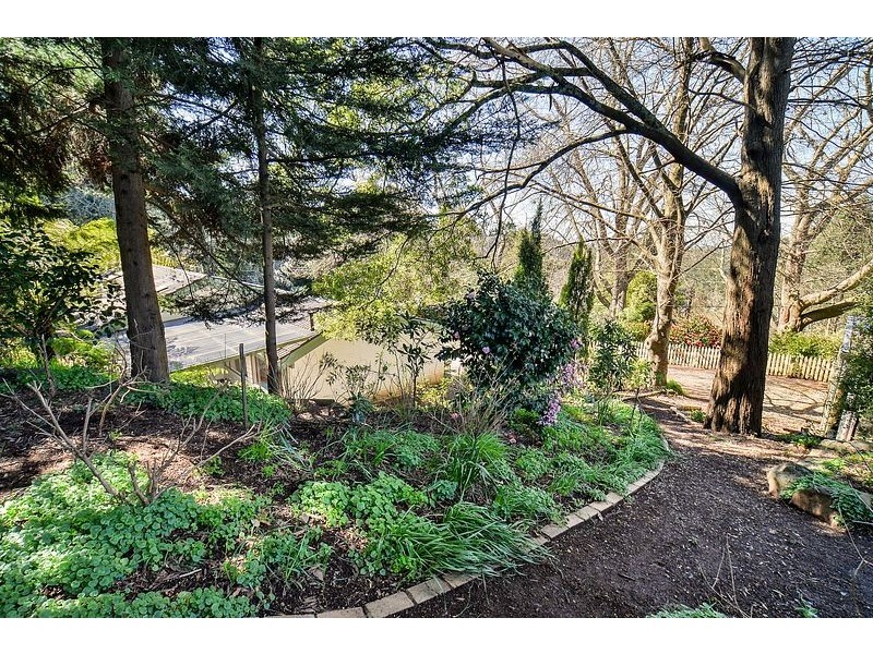 1 Murray Road, The Patch VIC 3792