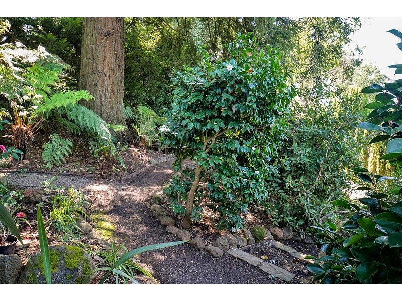 1 Murray Road, The Patch VIC 3792