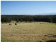 157 Emerald-Monbulk Road, Kallista VIC 3791