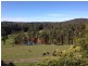 157 Emerald-Monbulk Road, Kallista VIC 3791