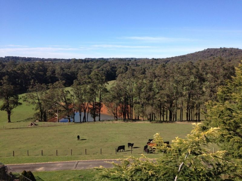 157 Emerald-Monbulk Road, Kallista VIC 3791