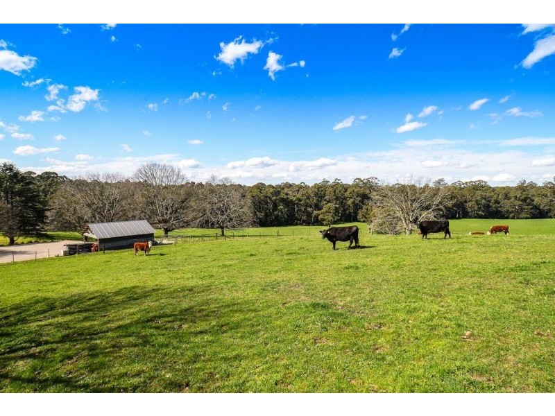 157 Emerald-Monbulk Road, Kallista VIC 3791
