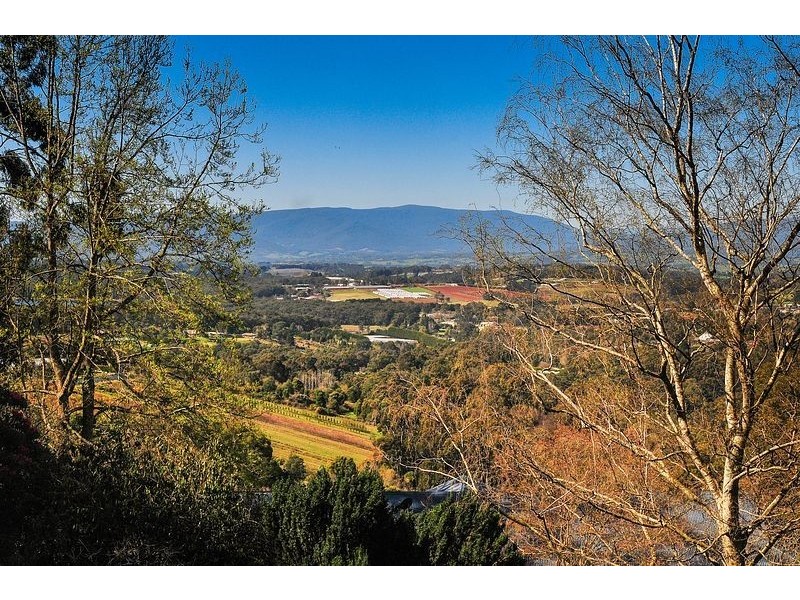 29 Upper Coonara Road, Olinda VIC 3788