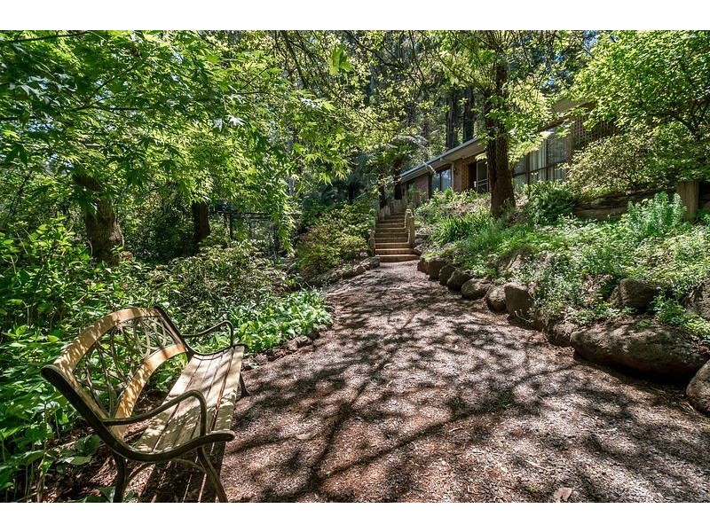 419 Mt. Dandenong Tourist Road, Sassafras VIC 3787