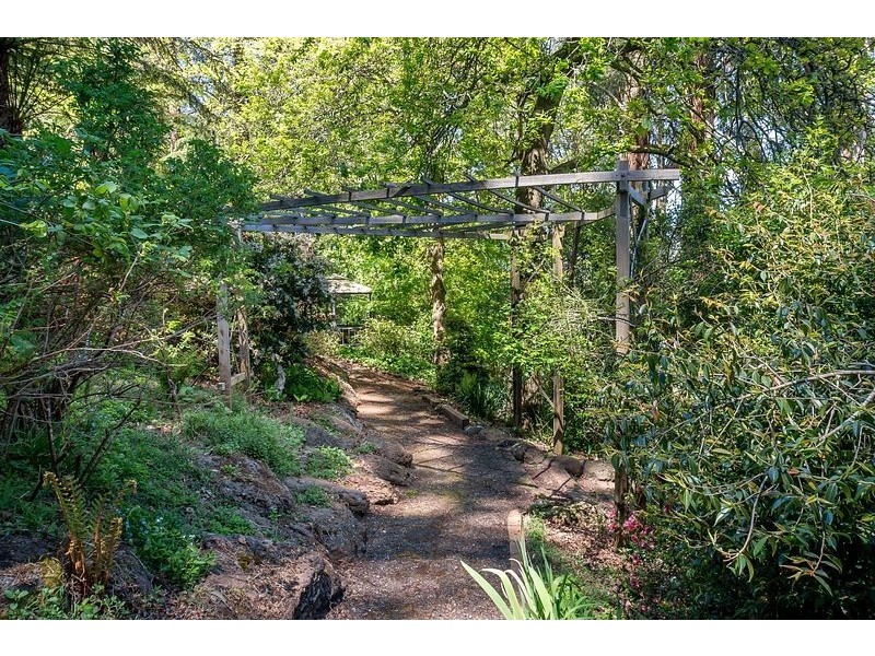 419 Mt. Dandenong Tourist Road, Sassafras VIC 3787