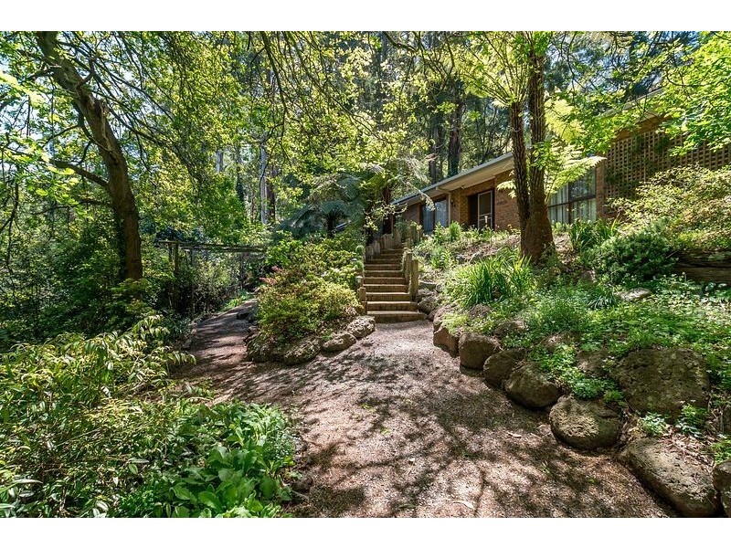 419 Mt. Dandenong Tourist Road, Sassafras VIC 3787