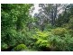 13 Ridge Road, Kallista VIC 3791