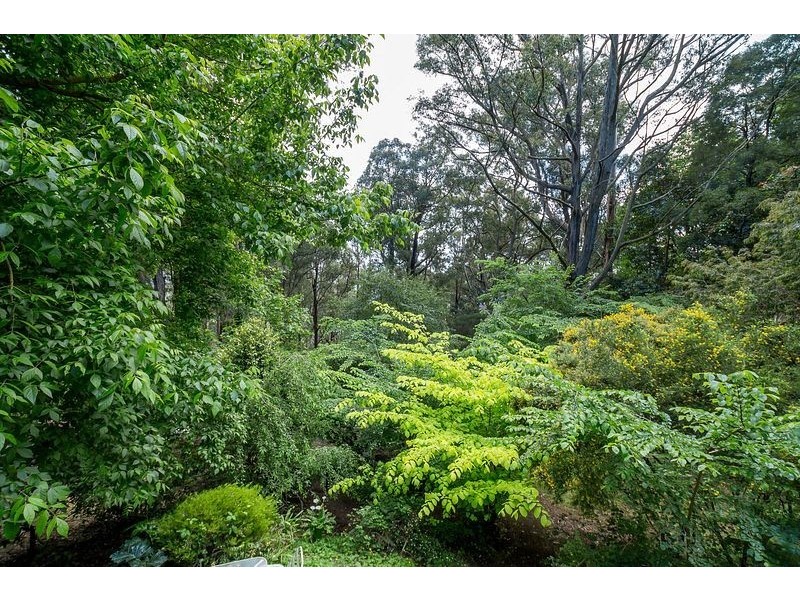 13 Ridge Road, Kallista VIC 3791