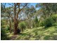 1 Cedar Grove, Selby VIC 3159