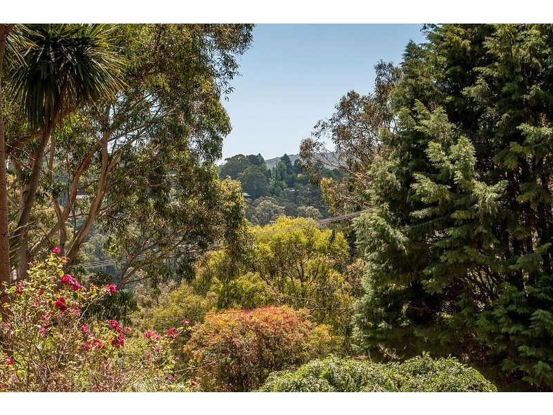 1 Cedar Grove, Selby VIC 3159