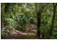 97 Olinda-Monbulk Road, Olinda VIC 3788
