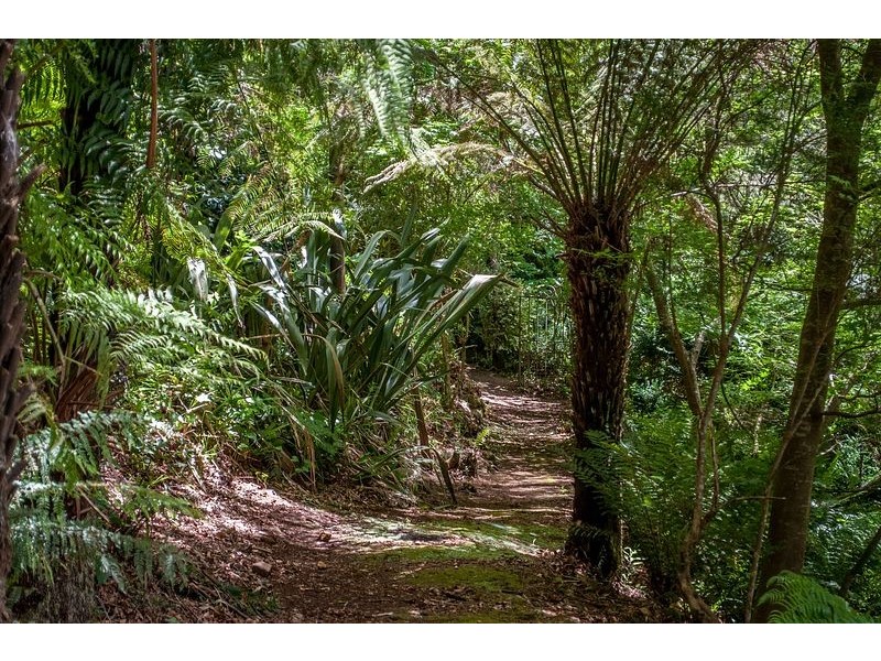 97 Olinda-Monbulk Road, Olinda VIC 3788