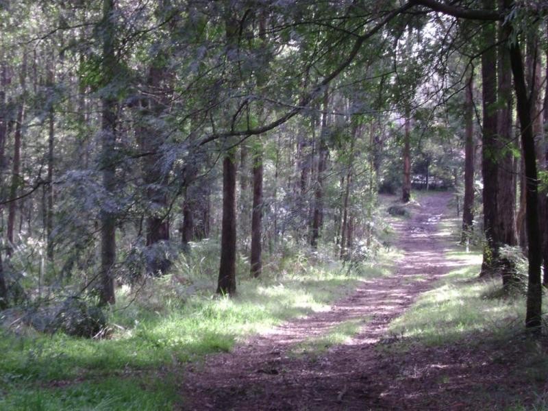 9 Clematis Park Road, Emerald VIC 3782