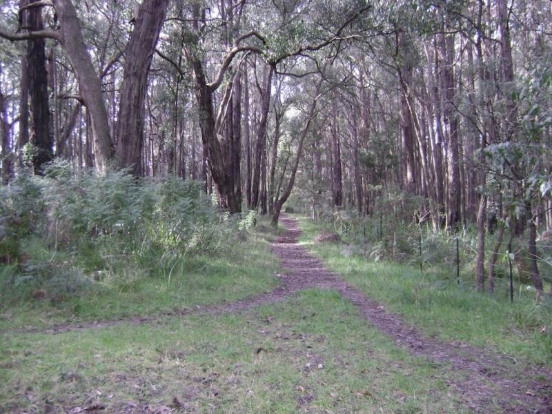 9 Clematis Park Road, Emerald VIC 3782