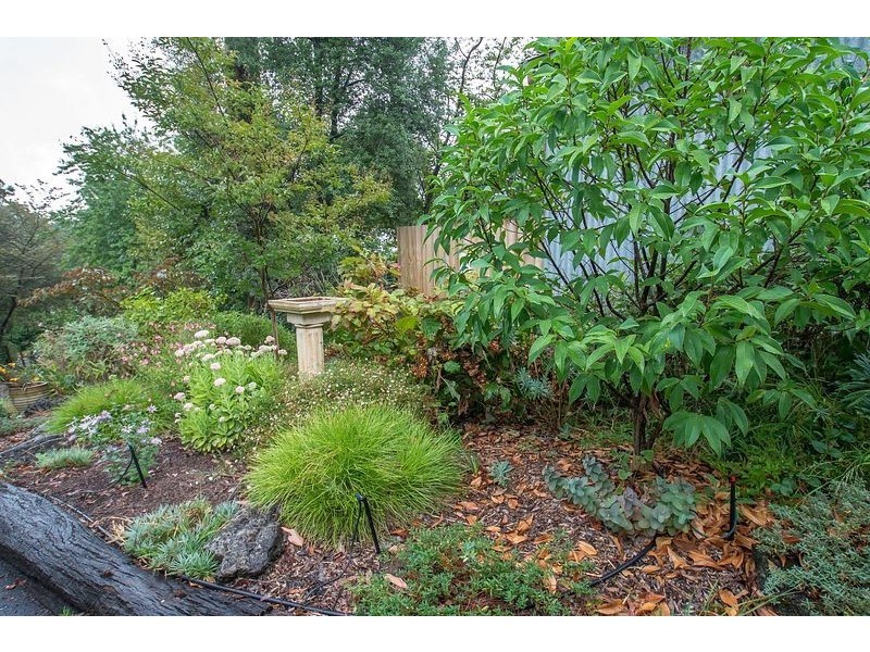 45 Temple Road, Selby VIC 3159